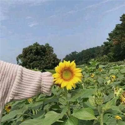 上海乡村“猪头肉咖啡馆”，村干部变身“店小二”，村民喜听支付宝到账声