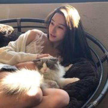热血小炮娘破解版下载
